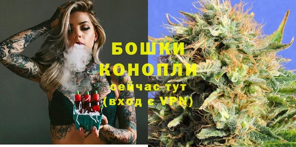 сатива Нягань