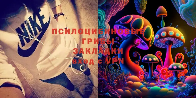 Псилоцибиновые грибы Cubensis  Саки 