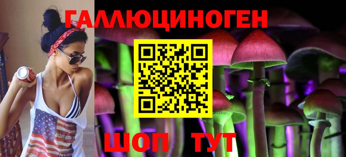Псилоцибиновые грибы Psilocybine cubensis  Вход с VPN  Саки 