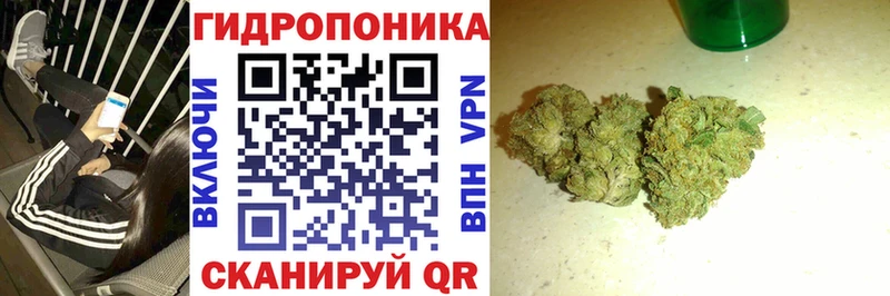 Бошки марихуана конопля  Саки 